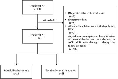 Effect of Sacubitril-Valsartan on Restoration and Maintenance of Sinus Rhythm in Patients With Persistent Atrial Fibrillation